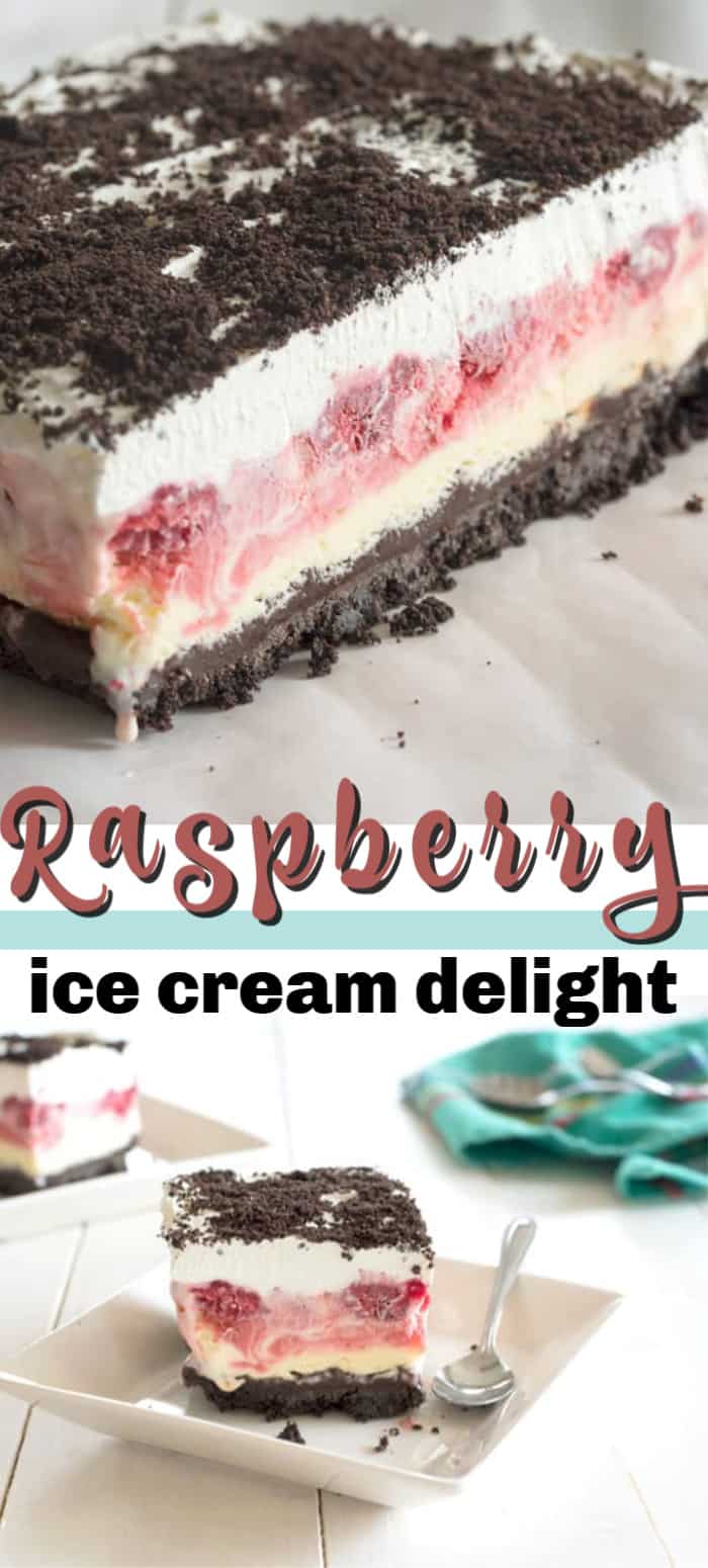 Raspberry Ice Cream Delight cold slice of heaven on a hot summer’s day!