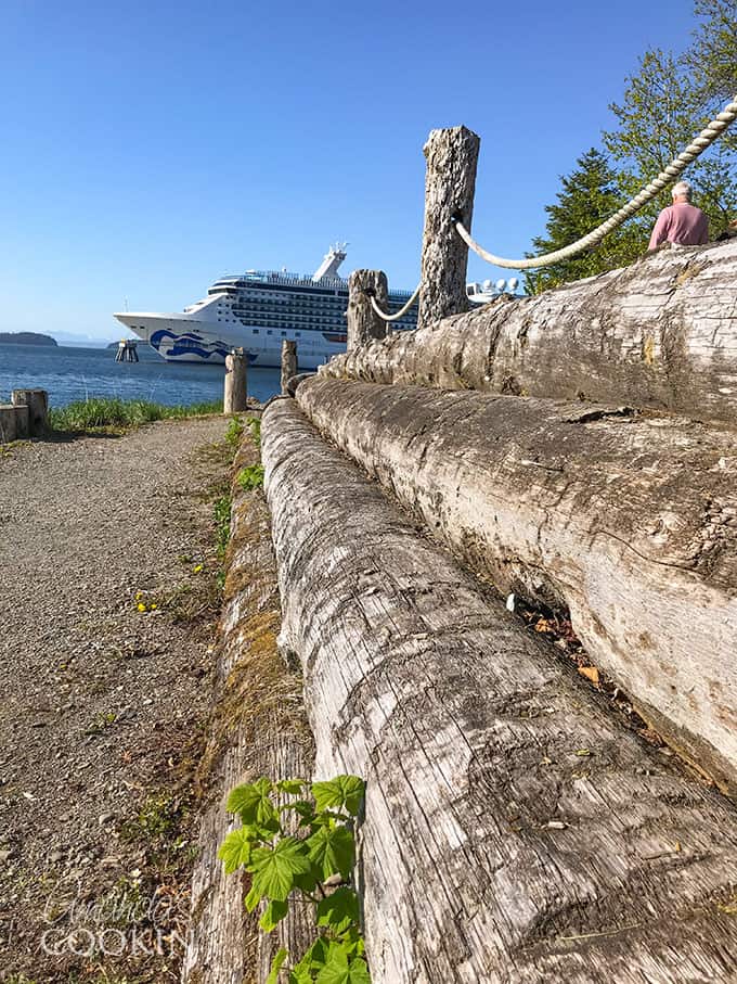 wood log wall with cruise ship in background