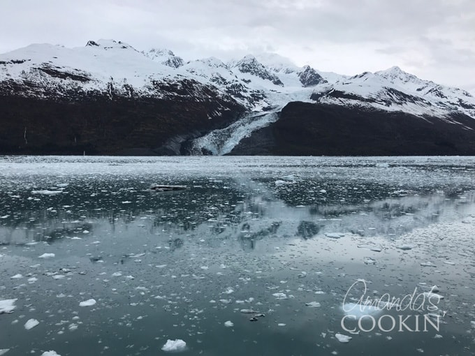 ice floating glacier bay