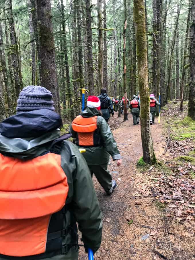 hiking through forest to go to glacier in alaska