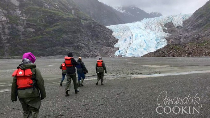 davidson glacier trek