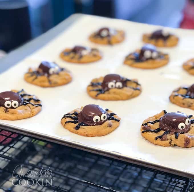 spider cookies