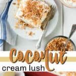 coconut cream lush pin image