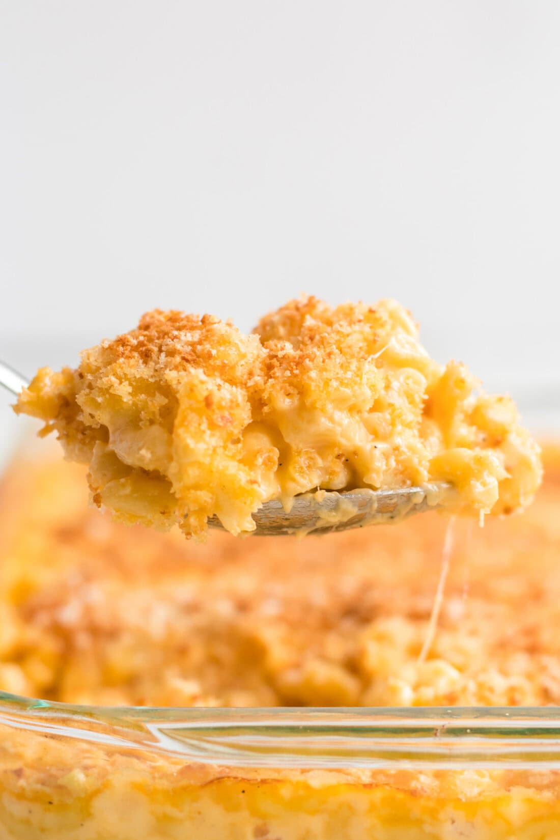 baked macaroni and cheese on a serving spoon
