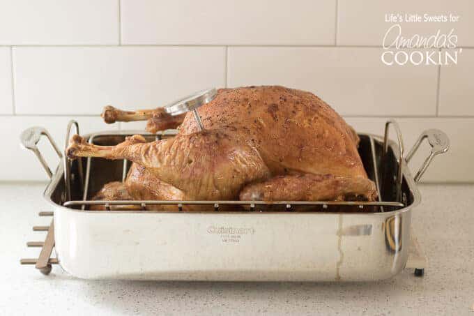 Roasted Turkey in roasting pan