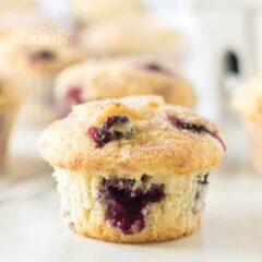 blueberry muffin