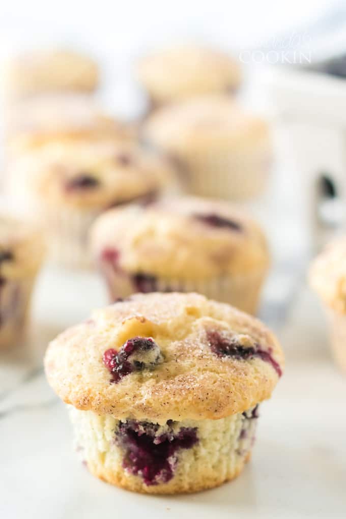 several blueberry muffins