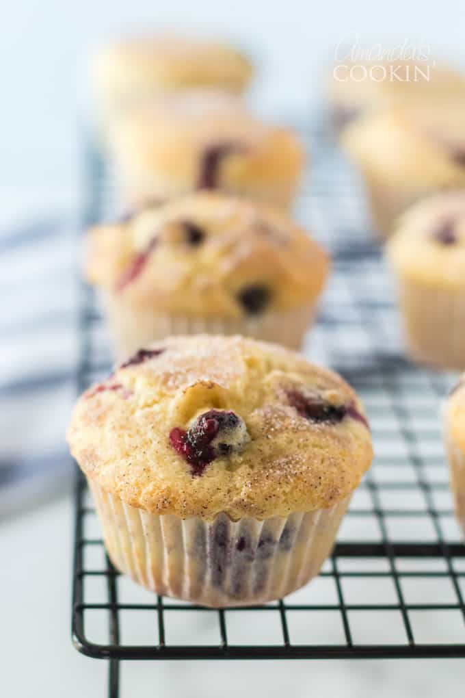 blueberry muffins cooling on rack