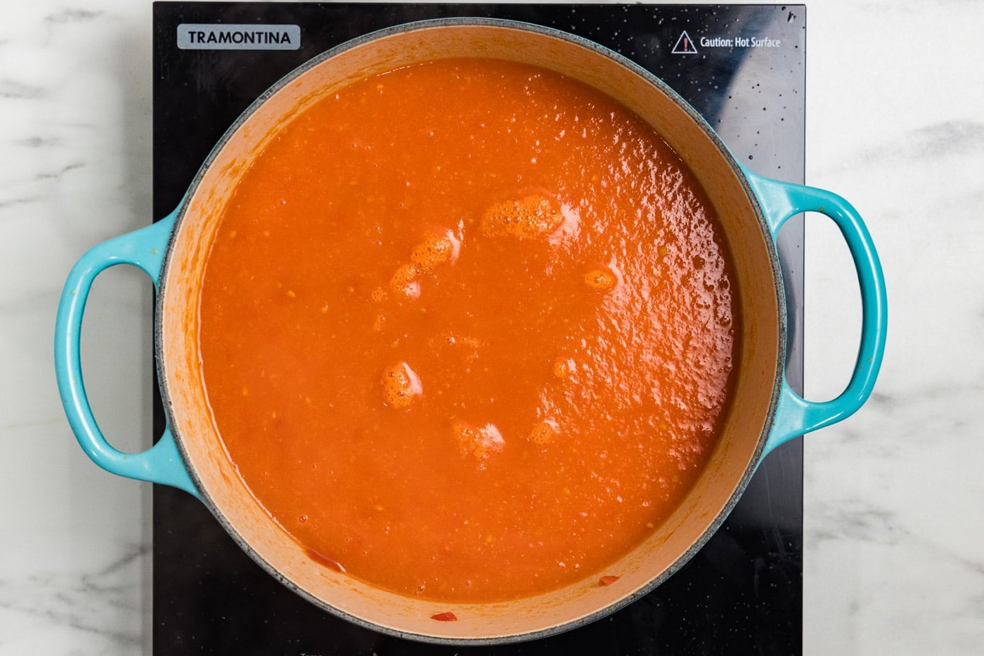 blended fresh tomato soup