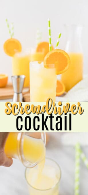 screwdriver alcoholic drink