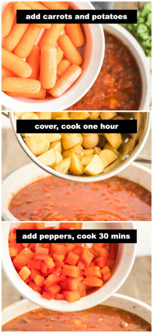 Cook Talash Homemade Goulash - Amanda's Cookin' - Beef
