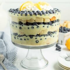 lemon blueberry trifle side view