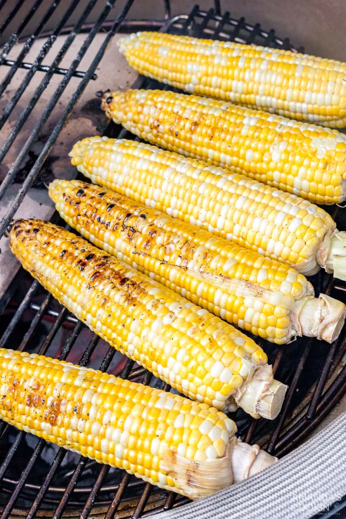 grilled corn on the cob