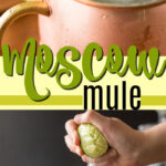 moscow mule pin image
