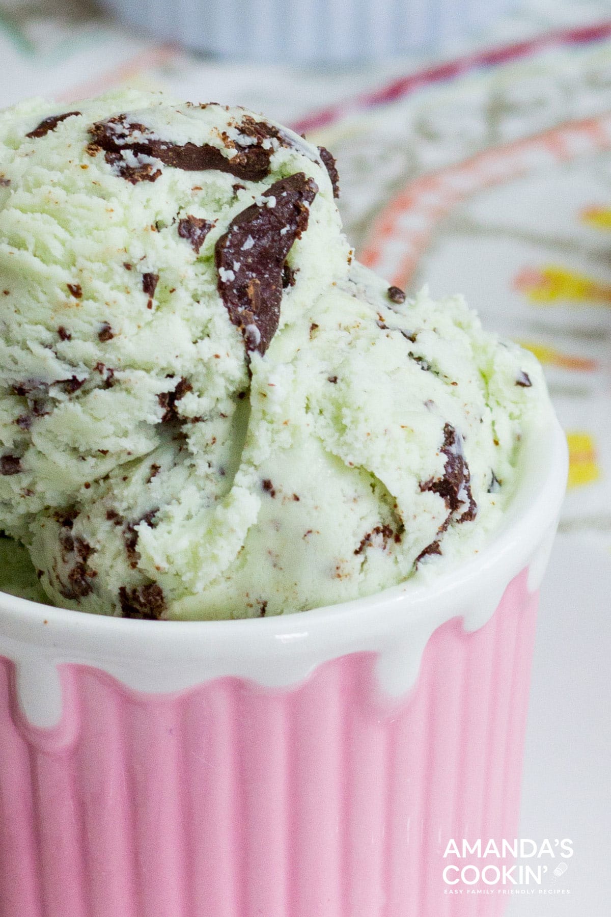 MINT CHOCOLATE CHIP ICE CREAM IN PINK DISH