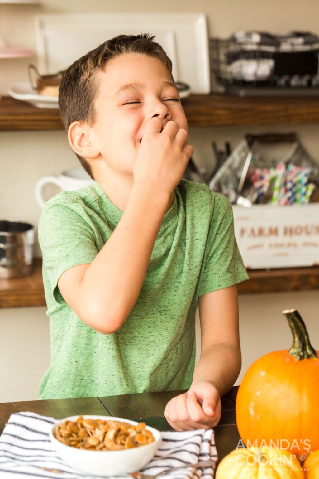 Roasted Pumpkin Seeds - Amanda's Cookin' - Other Snacks