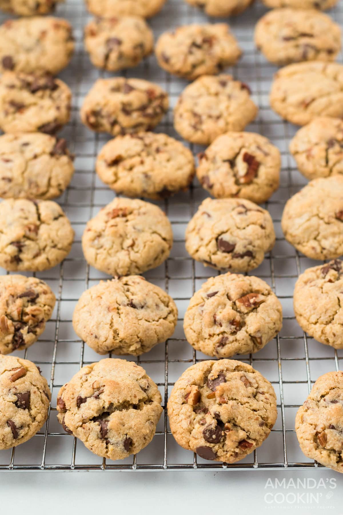 neiman marcus cookies on wire rack