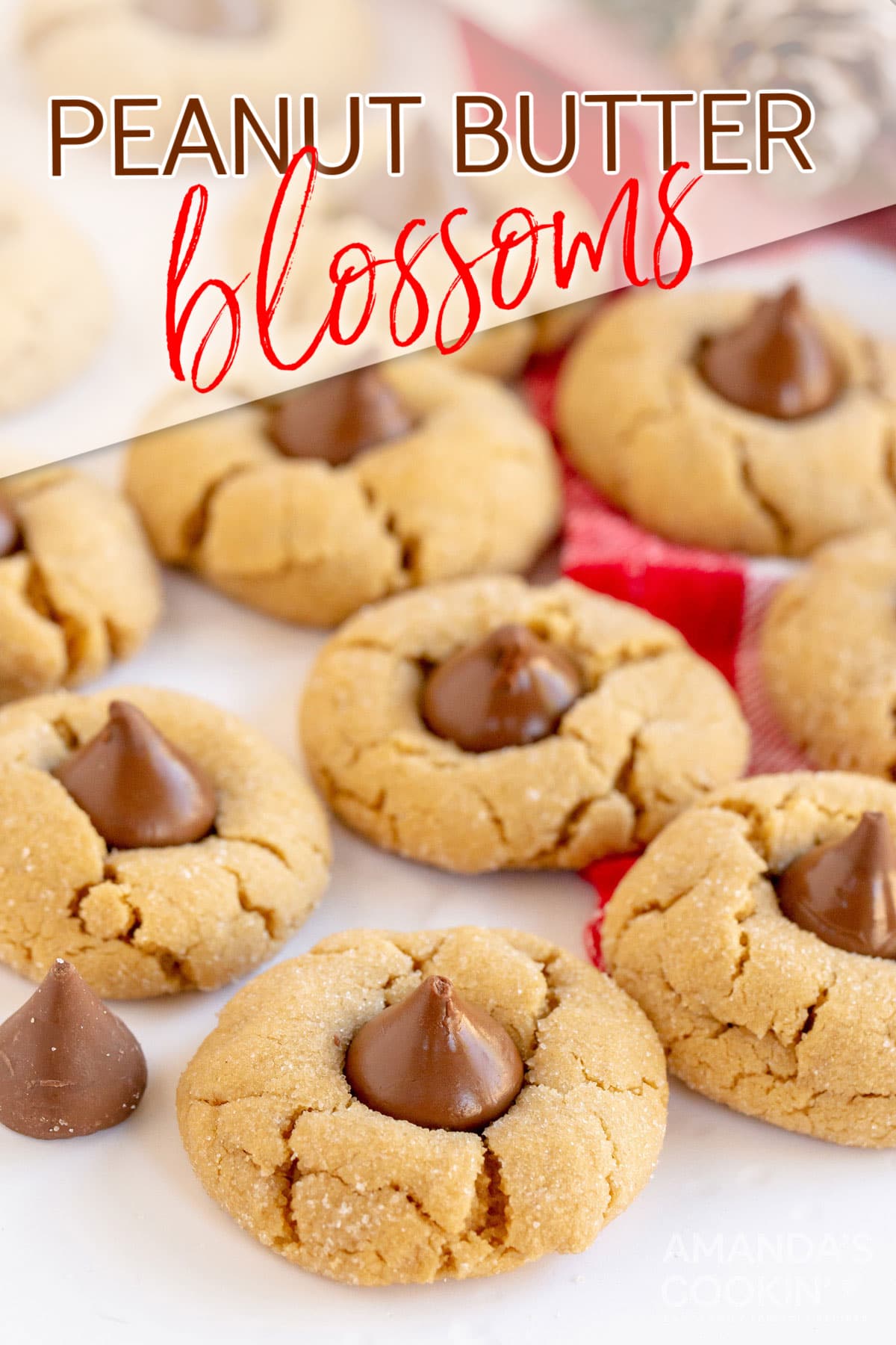 Peanut Butter Blossoms - Amanda's Cookin' - Cookies, Brownies, & Bars