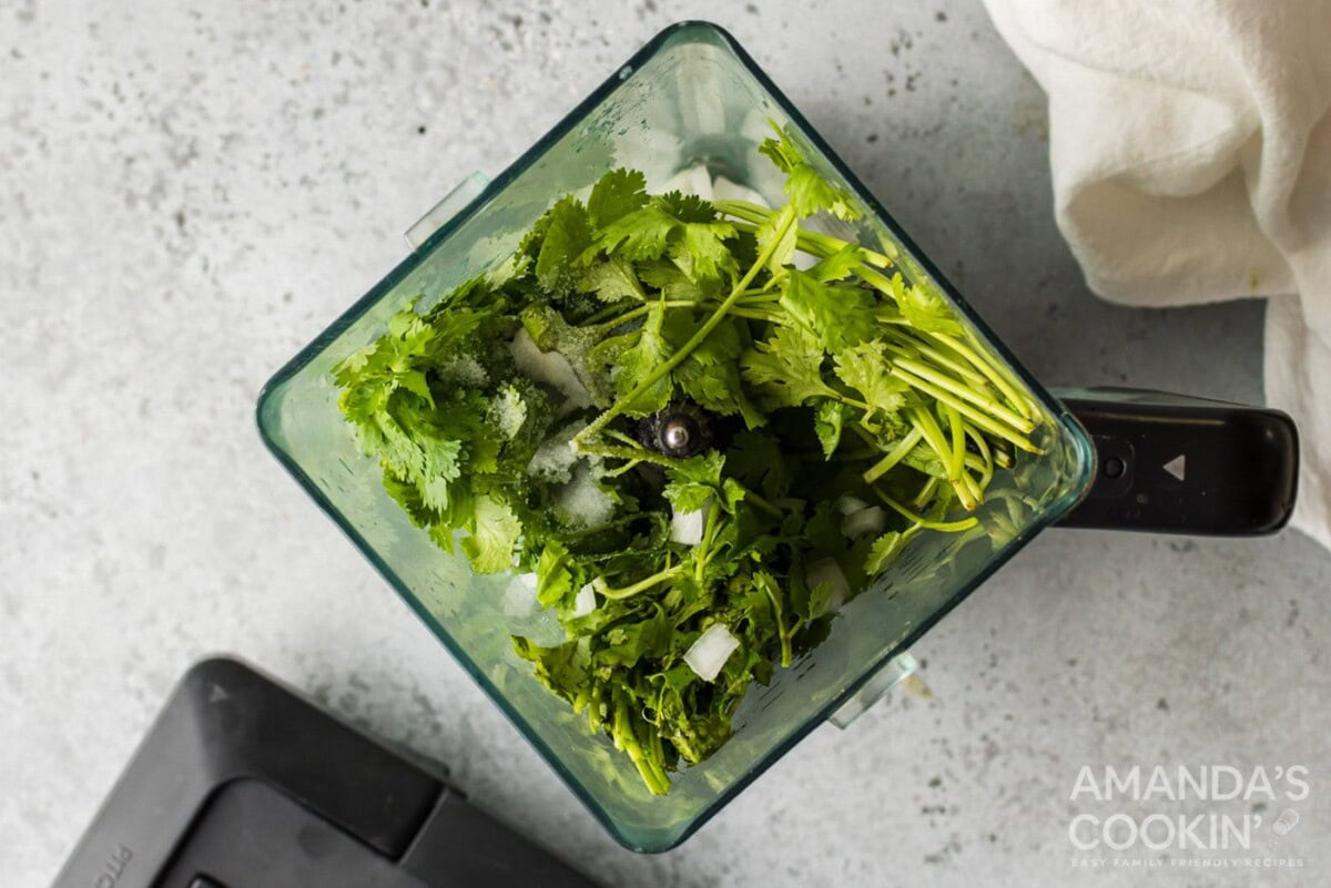 onion, garlic, cilantro, chilis and salt in a blender