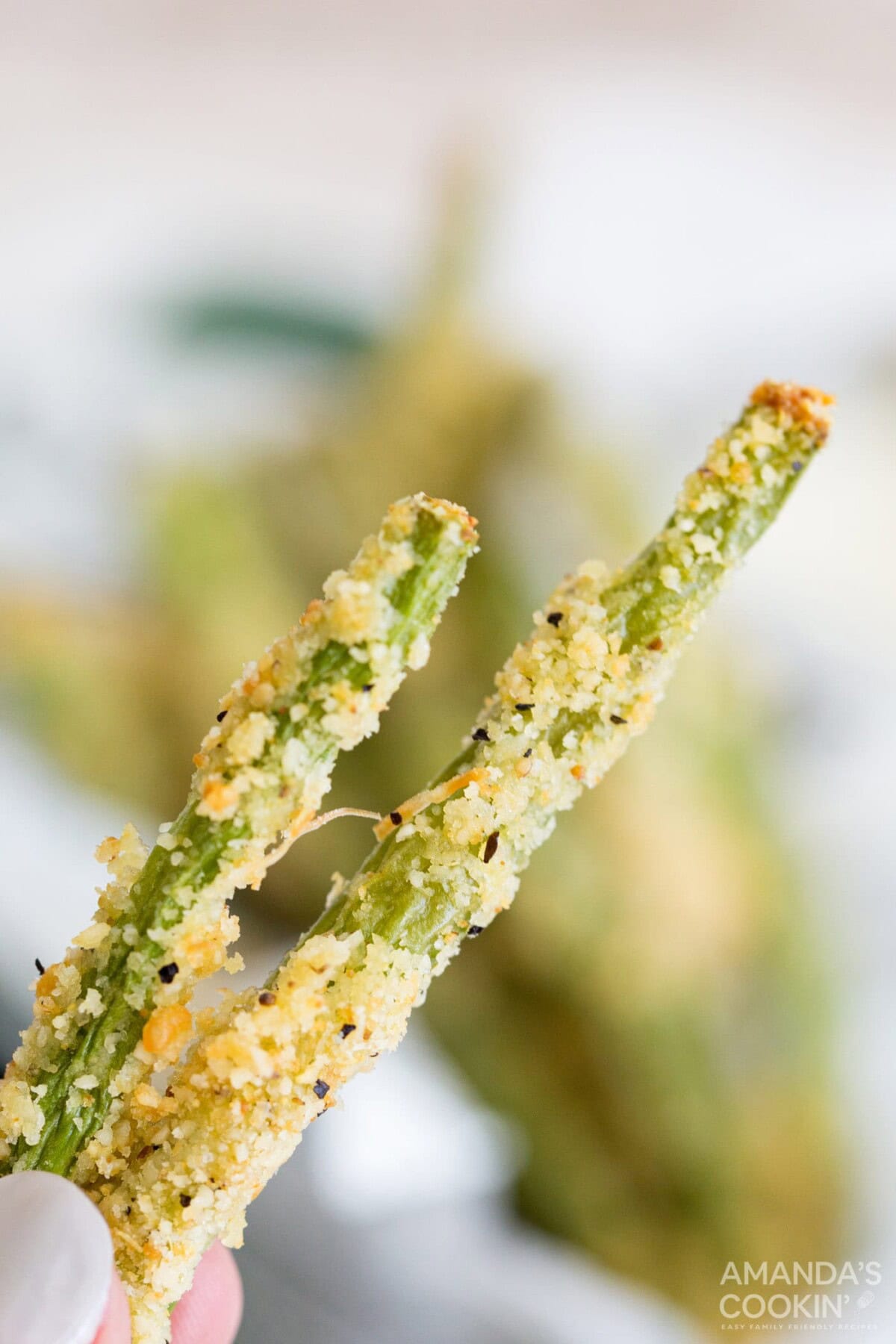 holding Air Fryer Green Bean Fries