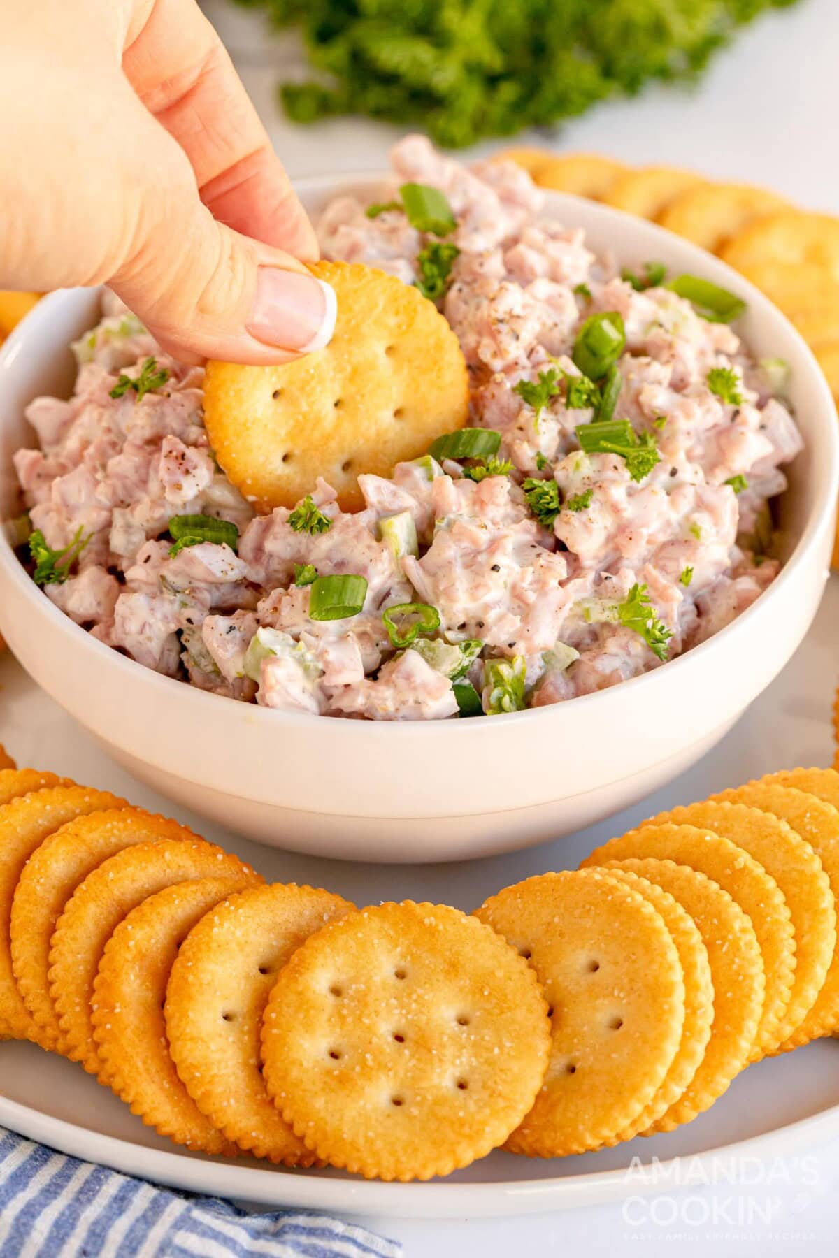 dipping cracker in ham salad