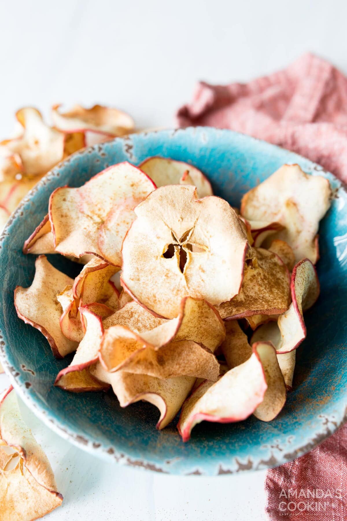 bowl of apple chips