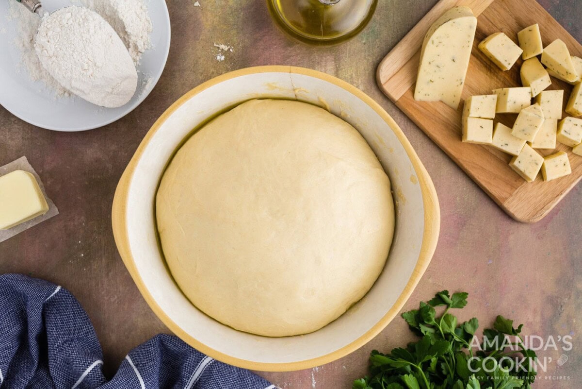 risen dough ball in a bowl