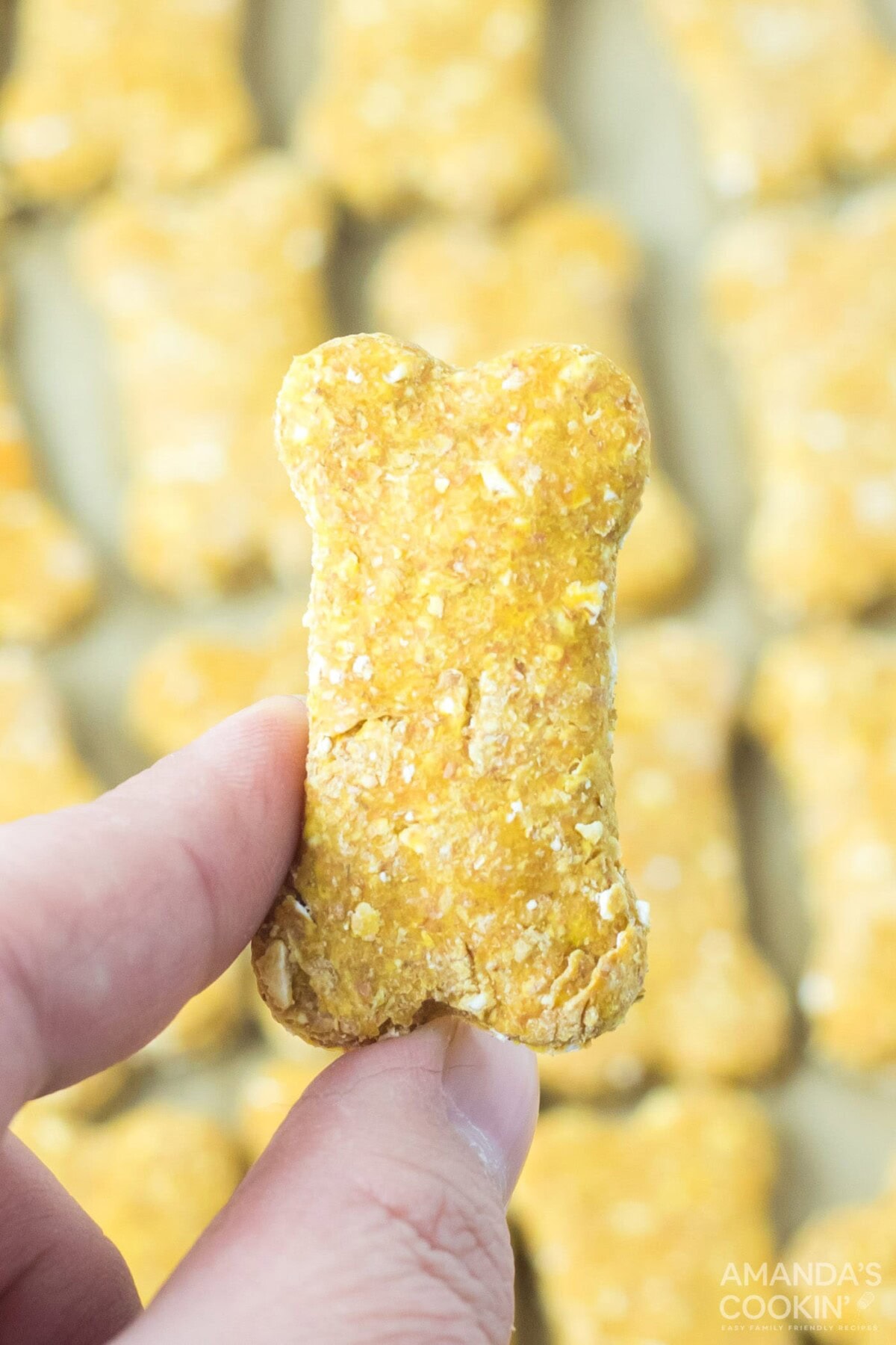 holding a dog treat