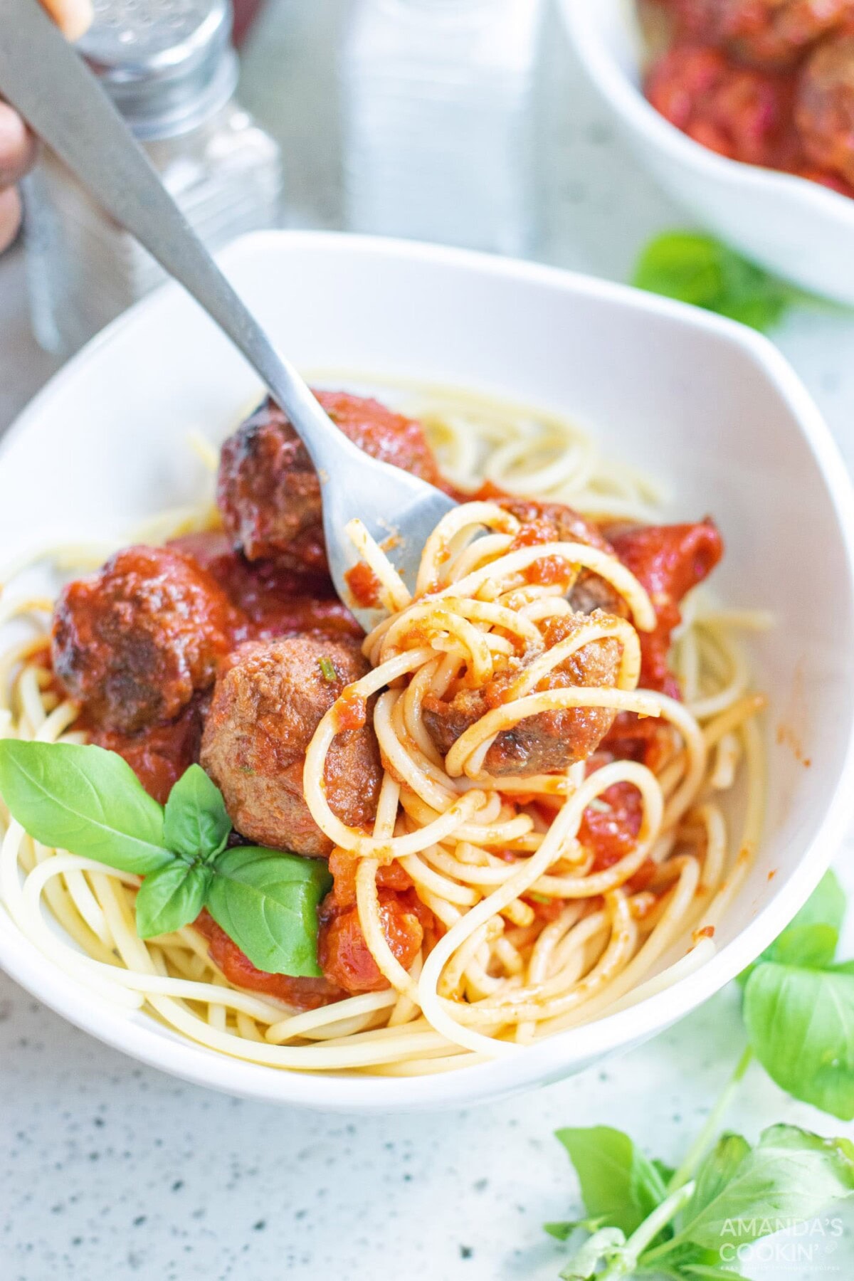 fork in a bowl of Spaghetti & Meatballs in Marinara