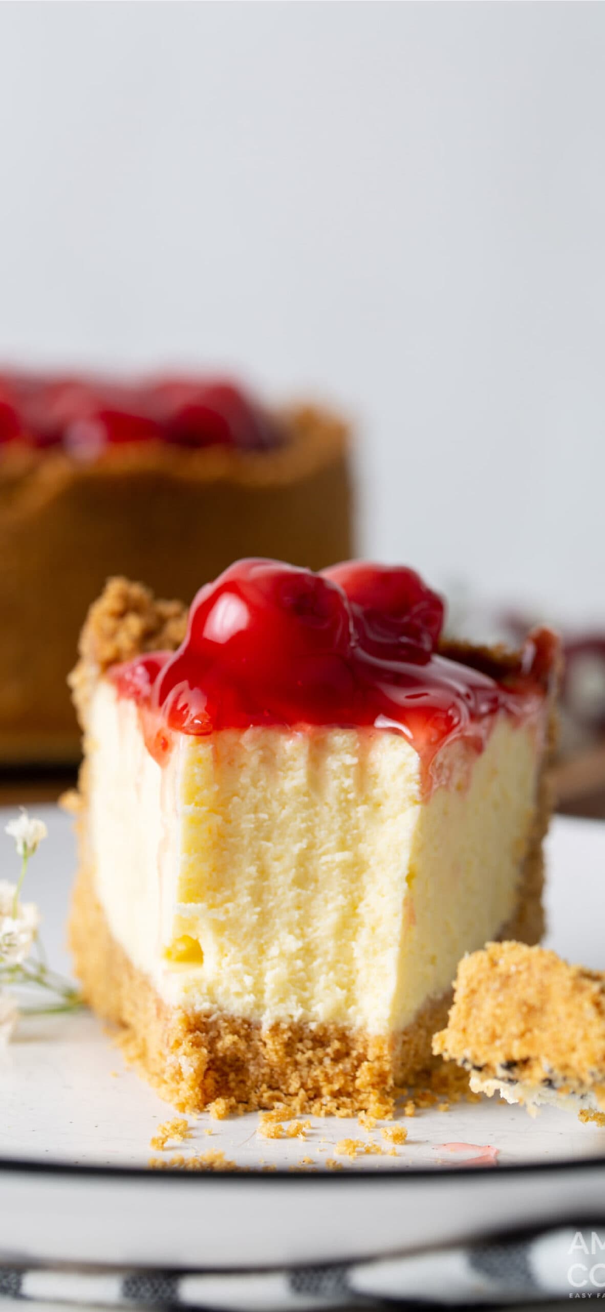 Instant Pot Cheesecake - Amanda's Cookin' - Cheesecakes