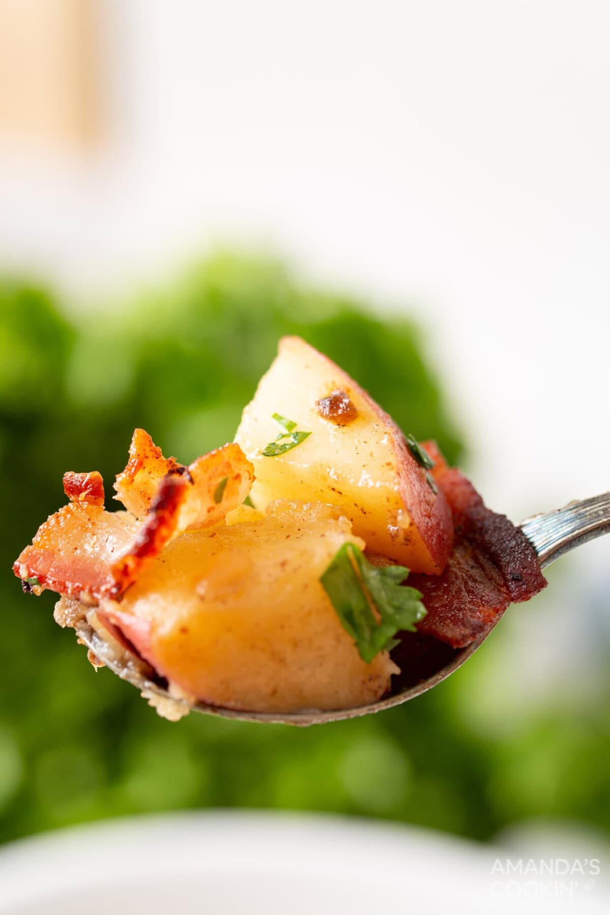 spoon of German Potato Salad