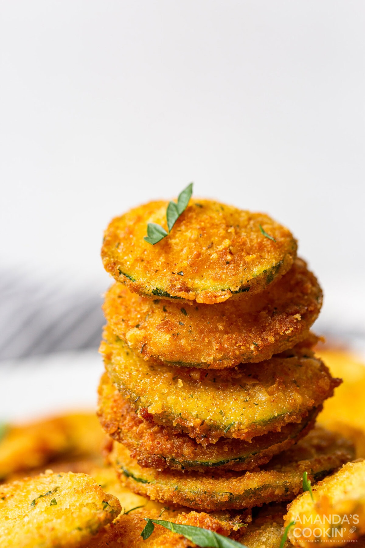stack of Fried Zucchini