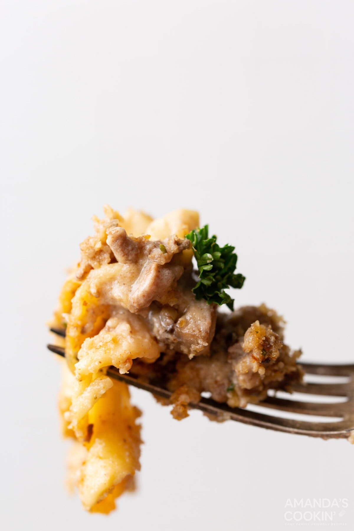 fork of Beef Stroganoff Casserole