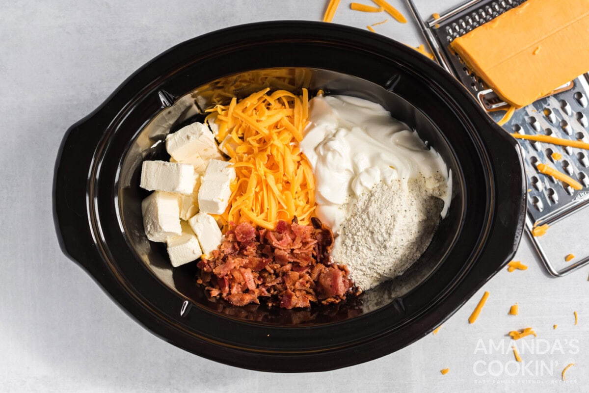 ingredients for cheese dip in the crockpot