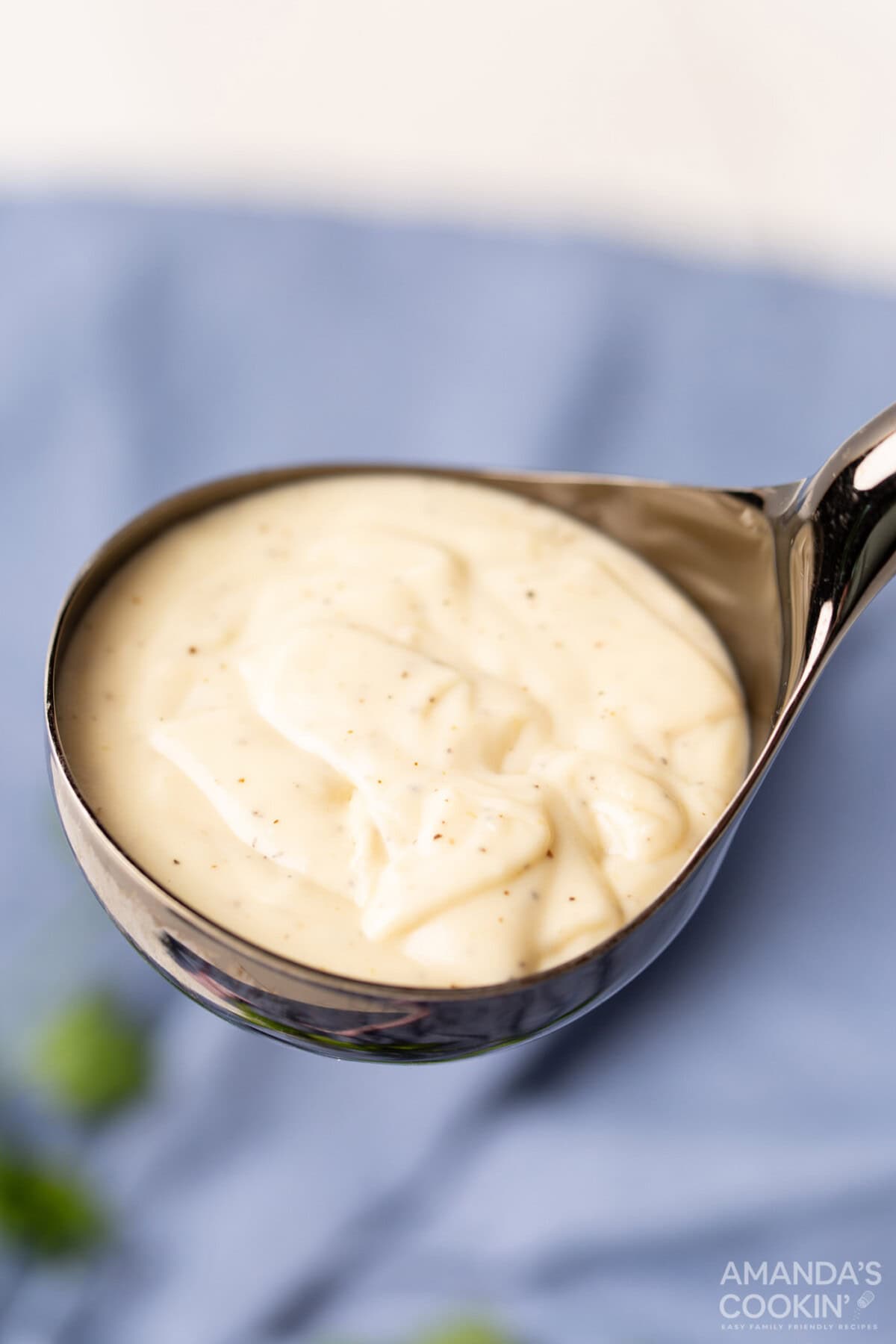 ladle of Homemade Cream of Chicken Soup