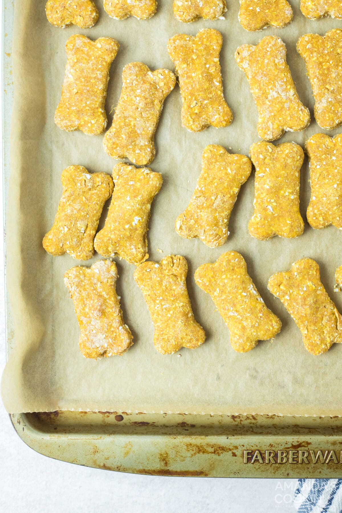 baking pan with dog treats