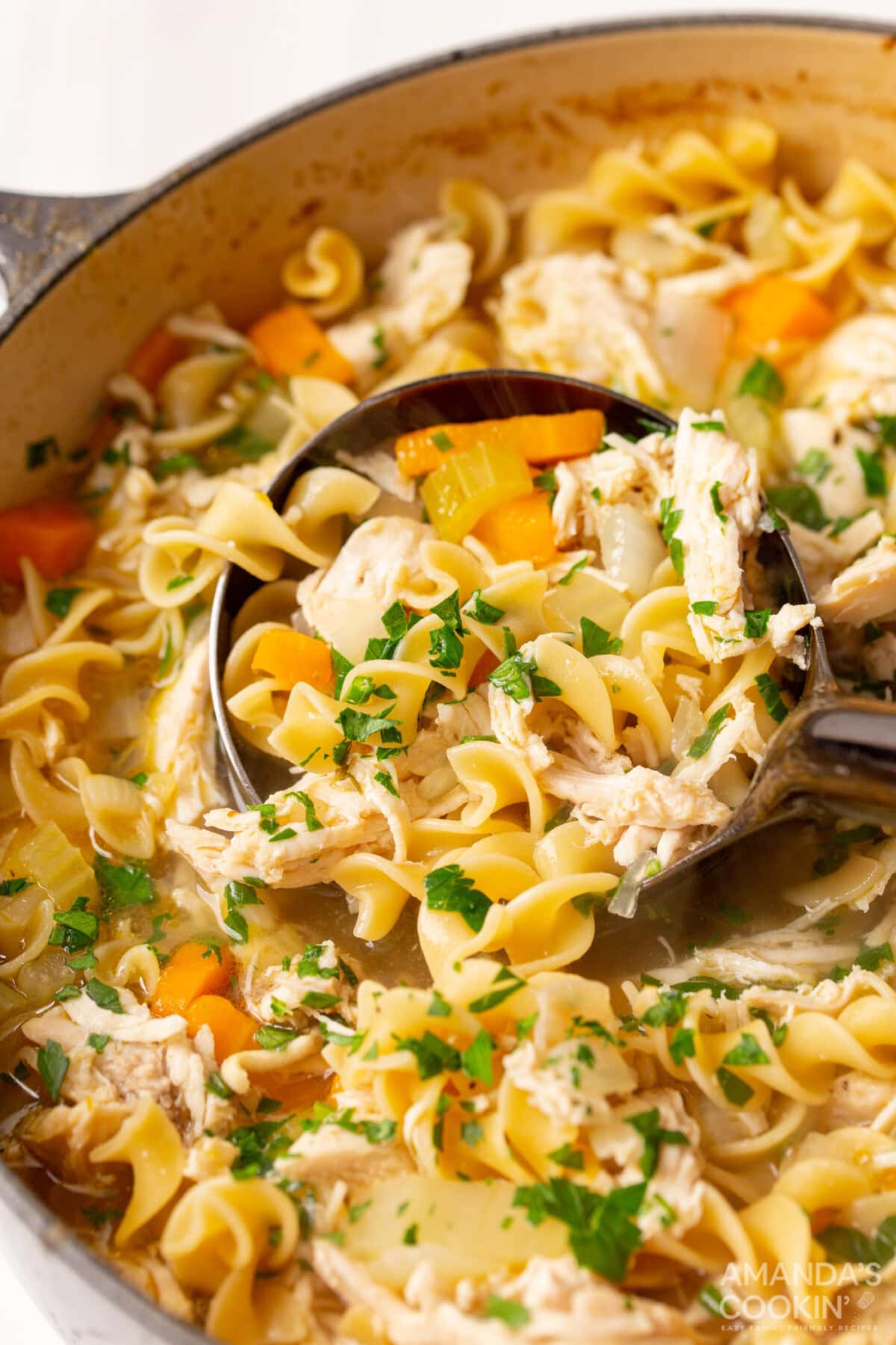 pot of Chicken Noodle Soup