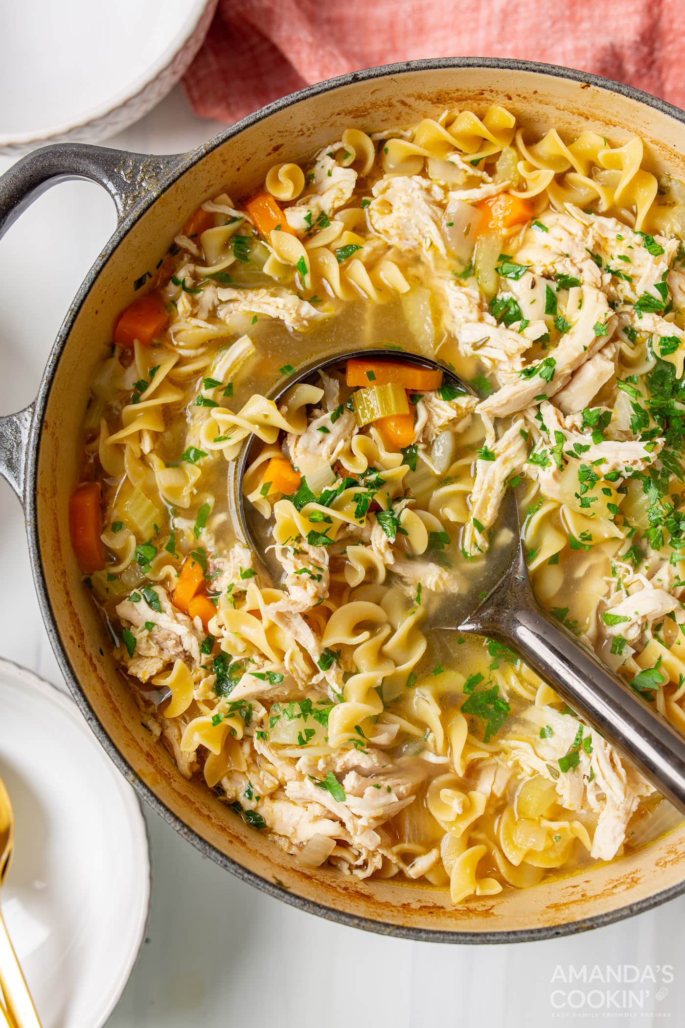 Chicken Noodle Soup - Amanda's Cookin' - Chicken & Poultry