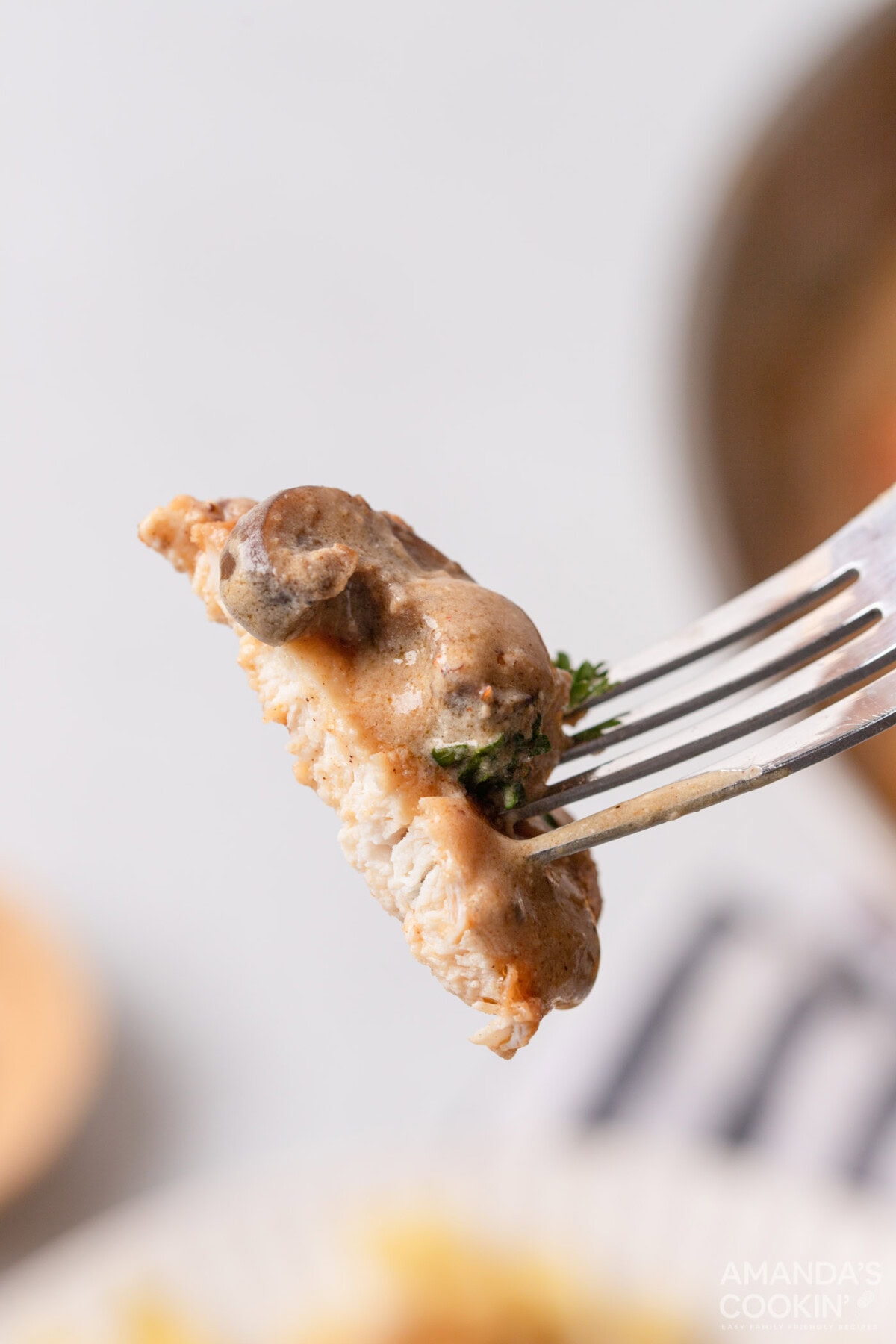 fork of Chicken Stroganoff