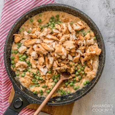 Pumpkin Chicken Pot Pie - Amanda's Cookin' - Chicken & Poultry