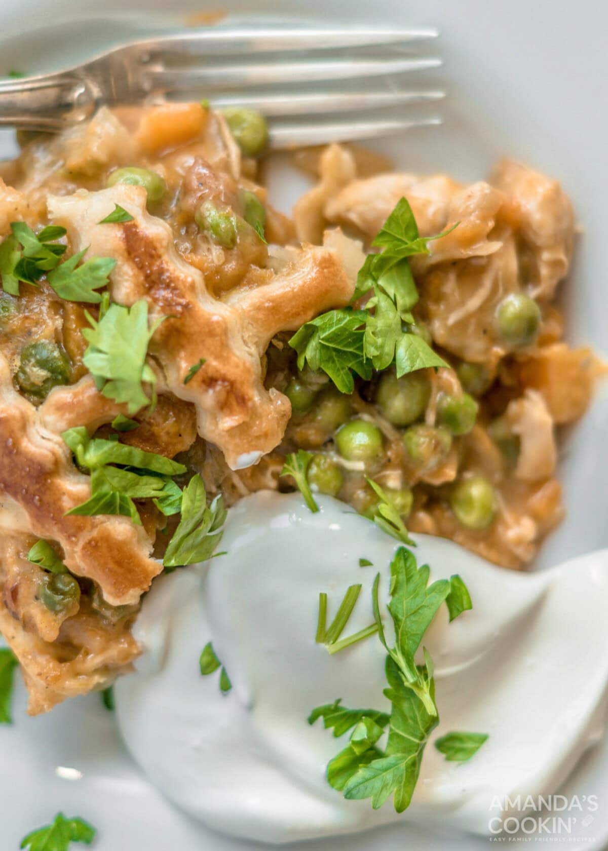 plate of Pumpkin Chicken Pot Pie