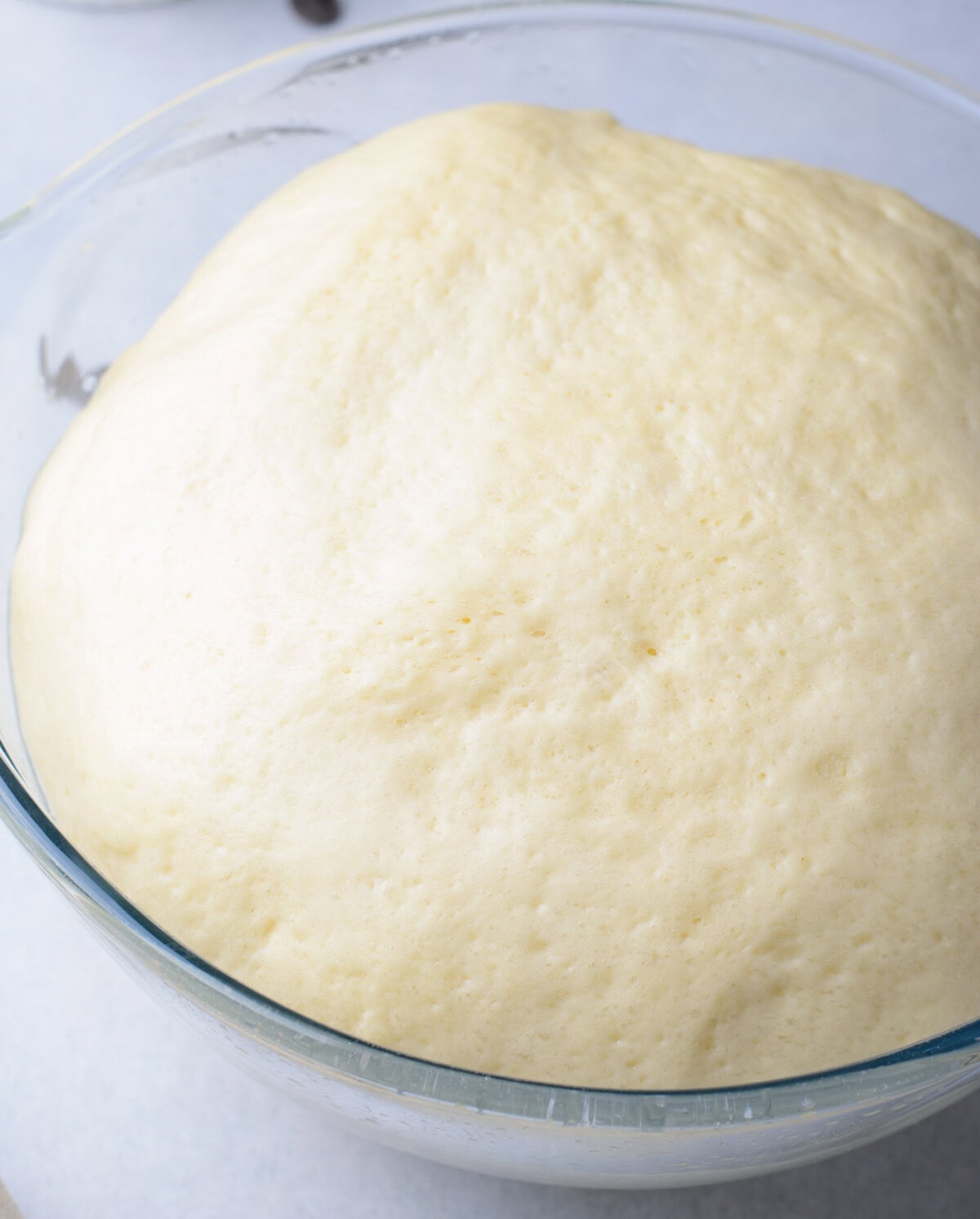chocolate babka dough