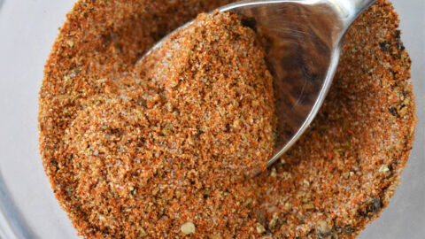 Seasoned salt hotsell for fries