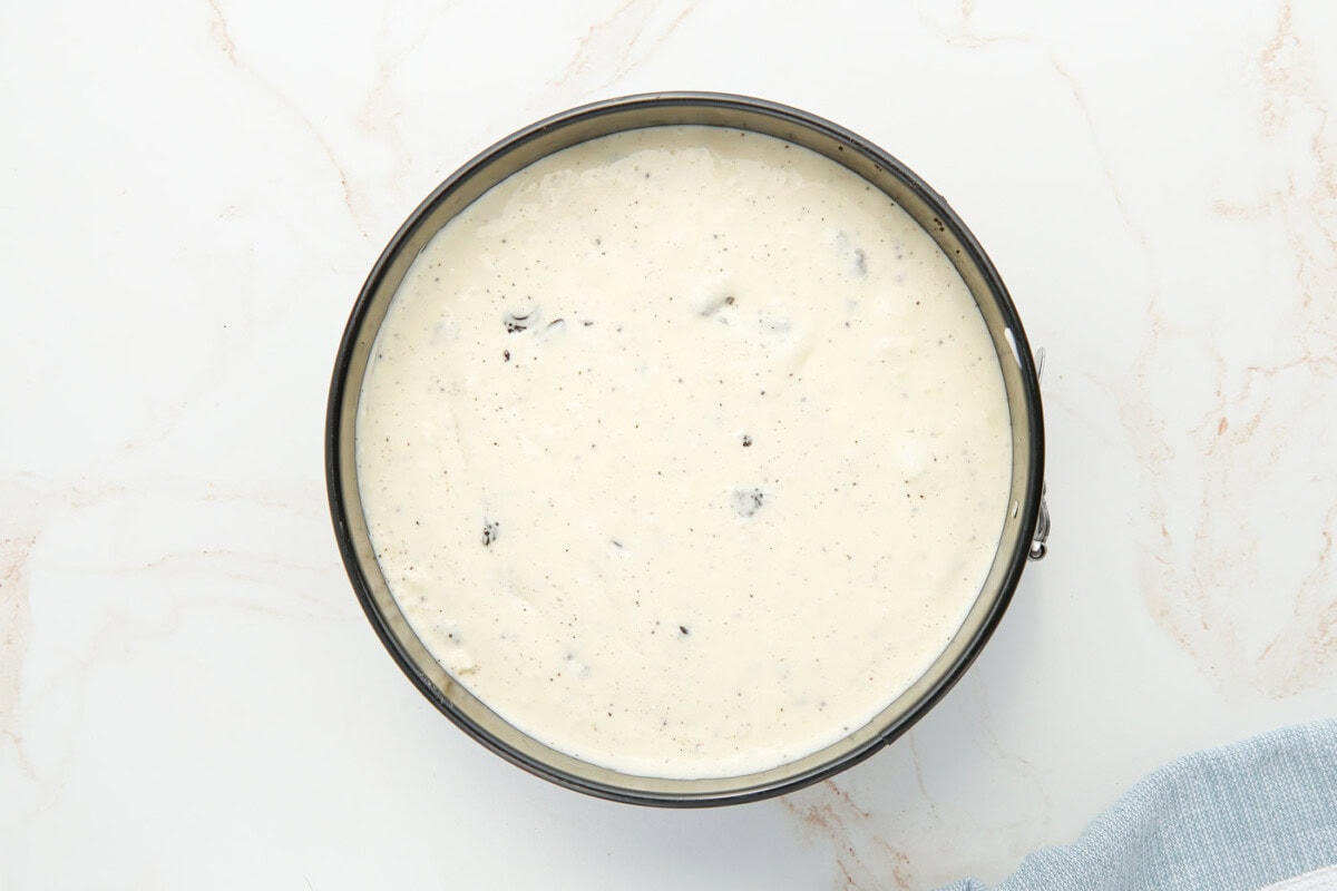 oreo cheesecake in springform pan