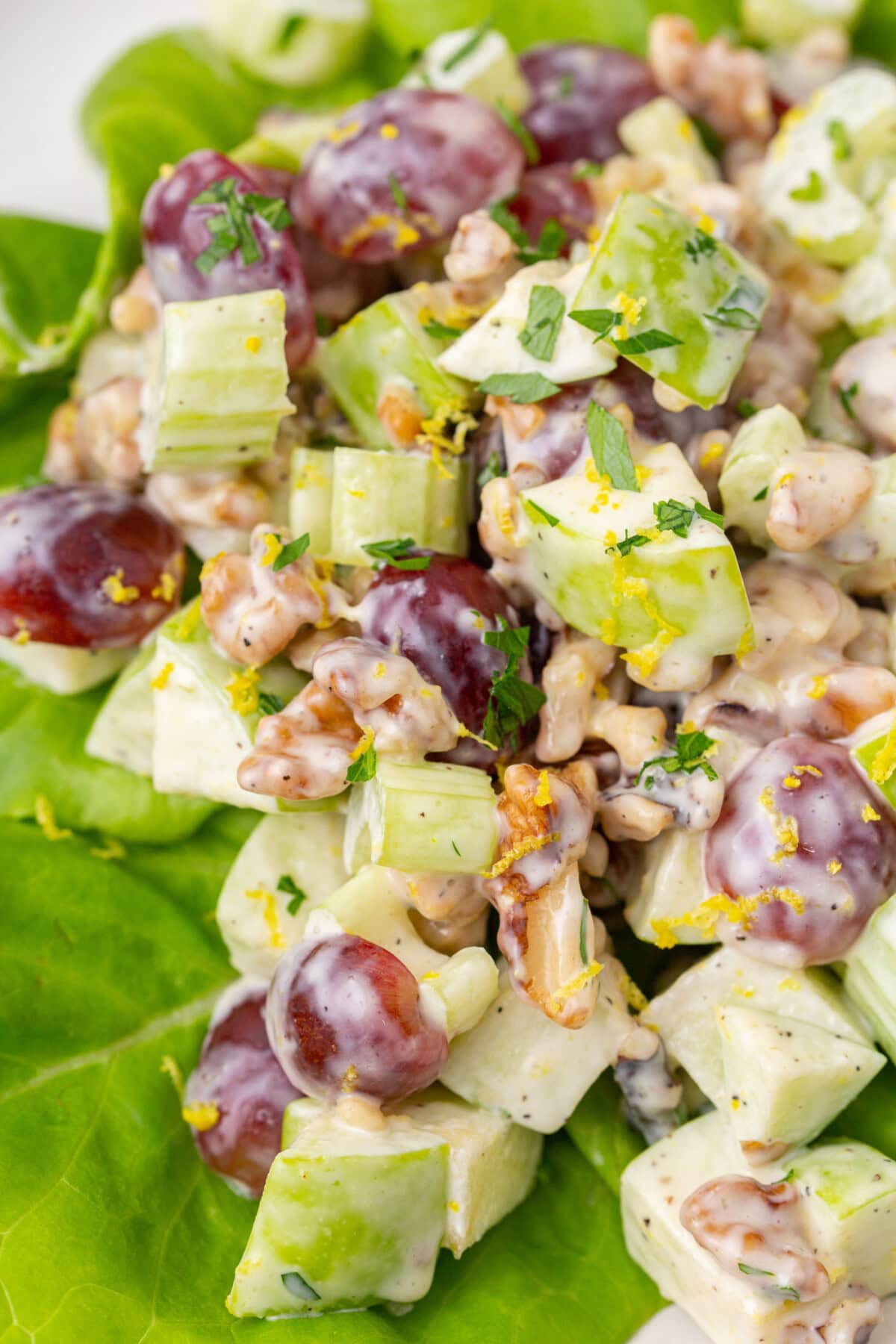 close up of Waldorf Salad