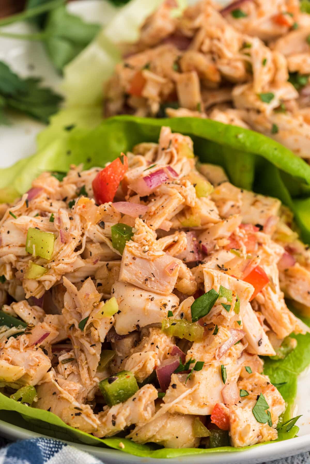 Cajun Chicken Salad on lettuce