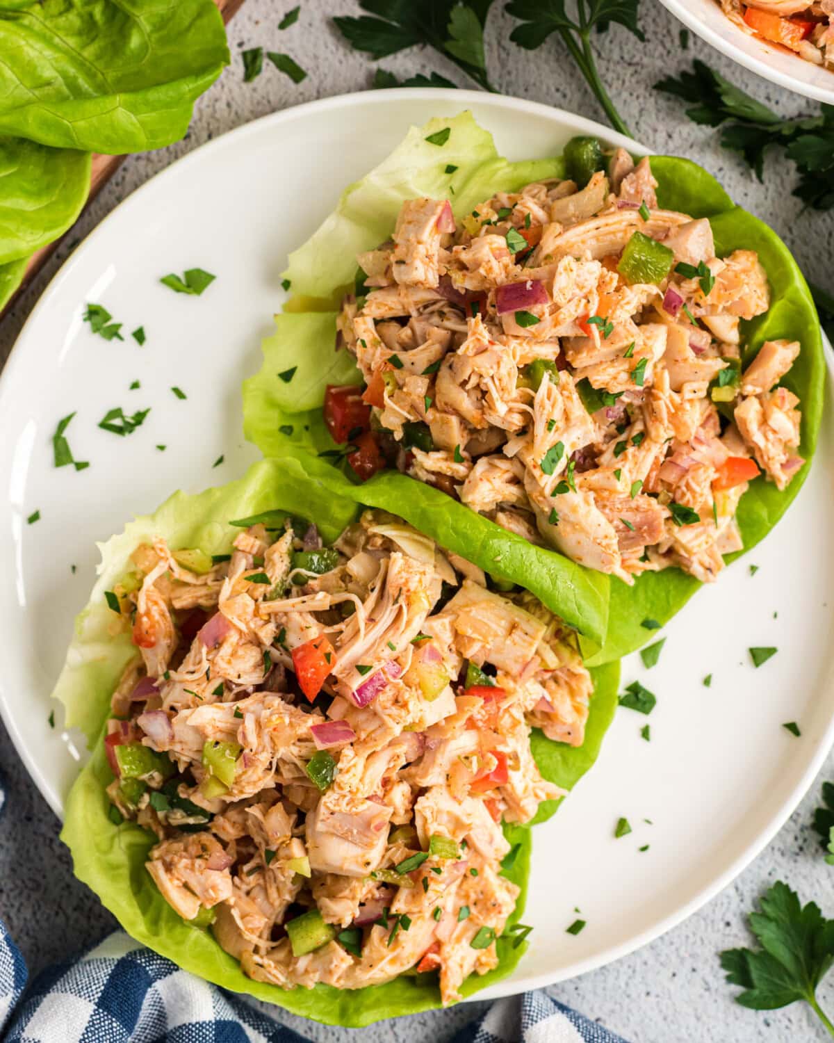 Cajun Chicken Salad on lettuce beds