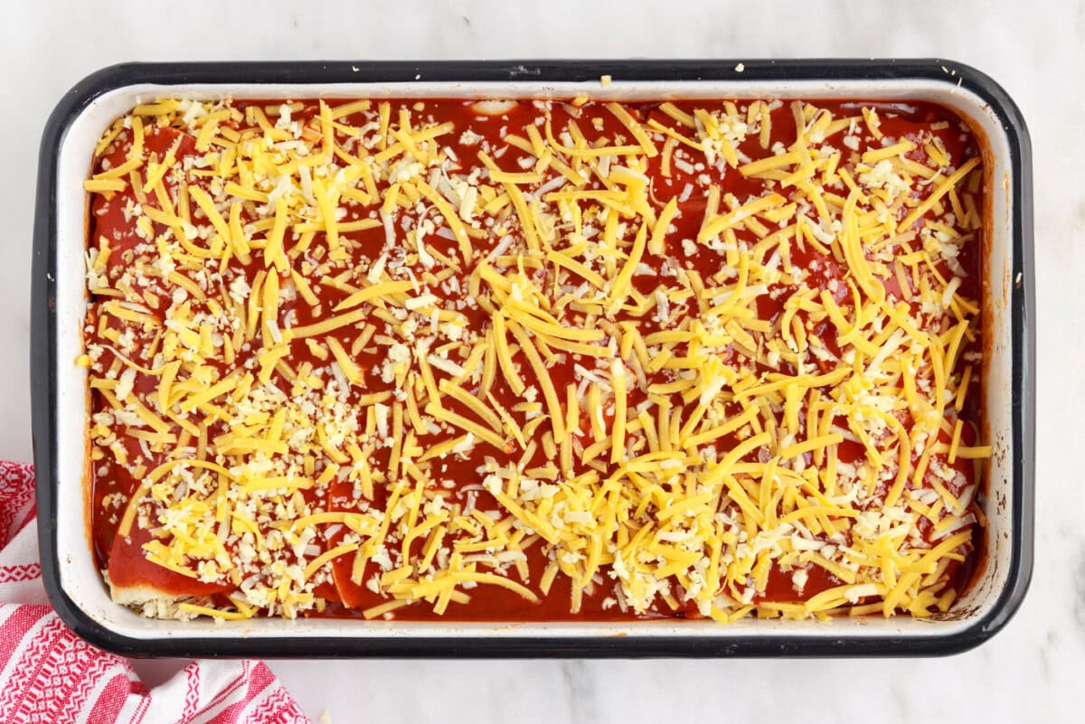 shredded cheese on top of chicken enchilada casserole