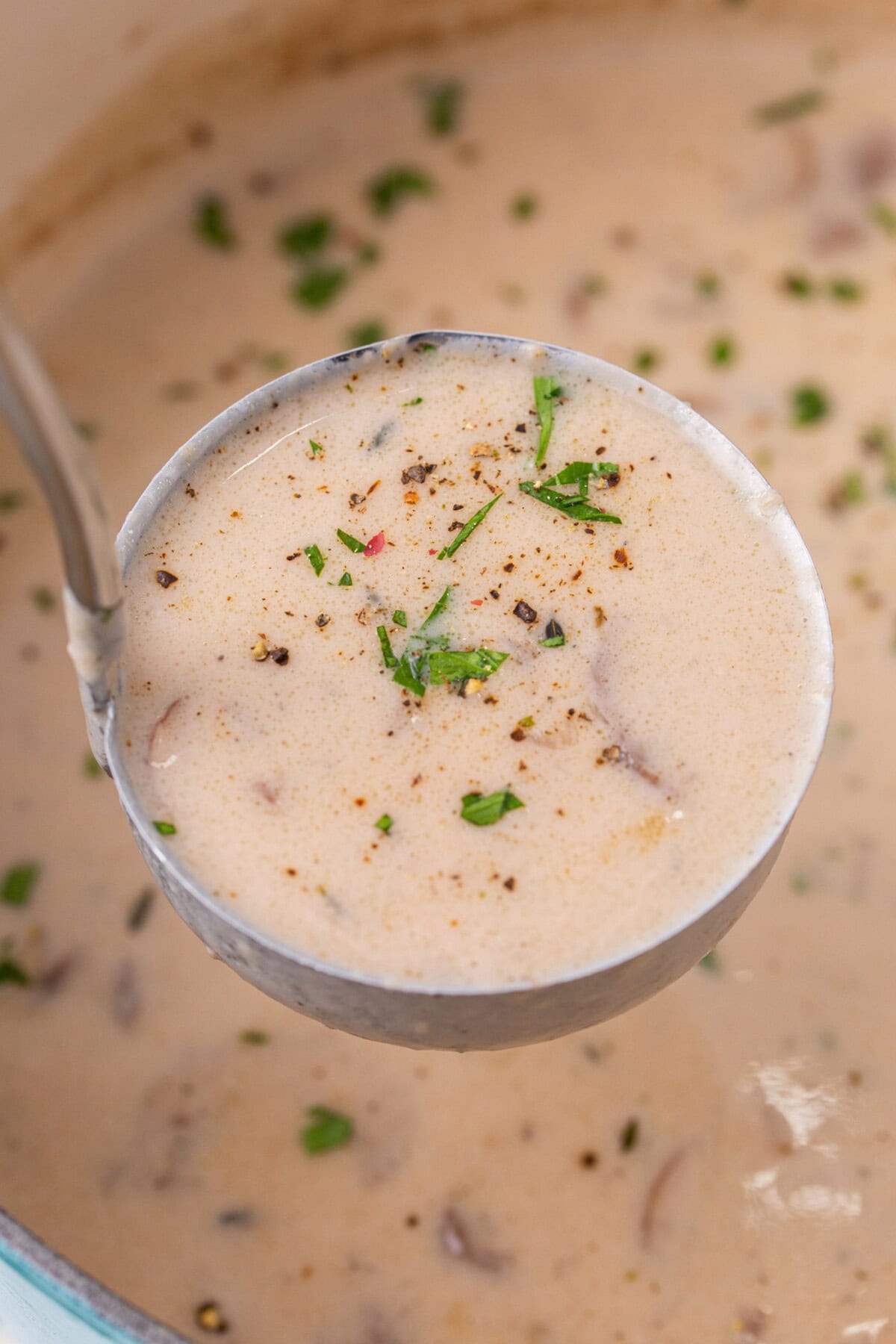 ladle of Cream of Mushroom Soup