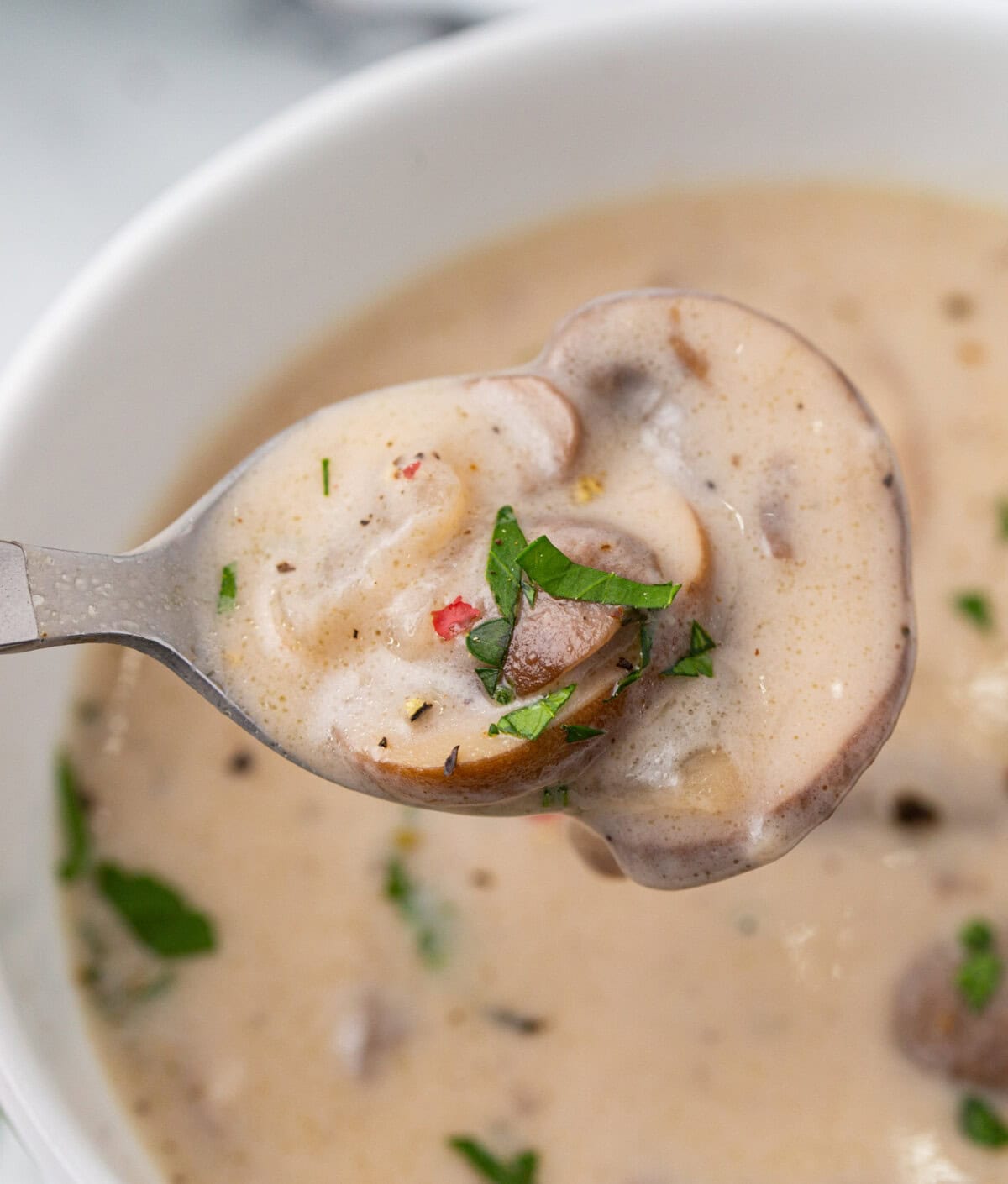 spoon of Cream of Mushroom Soup